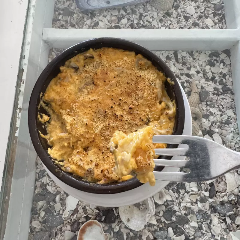 Chupe de champiñón