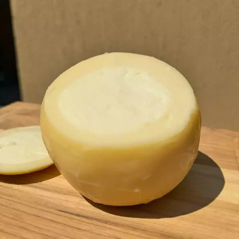 Provolone Trufado c/ Requeijão