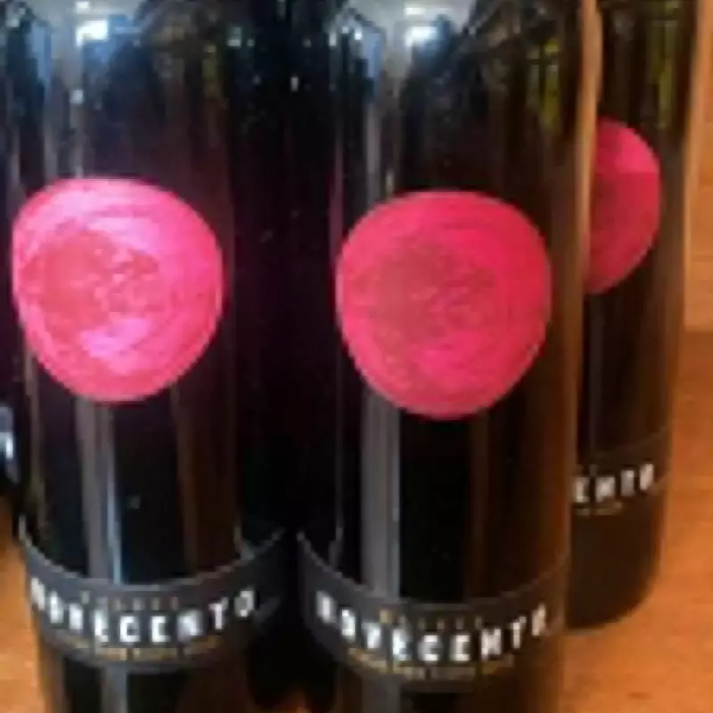 VINHO NOVECENTO MALBEC