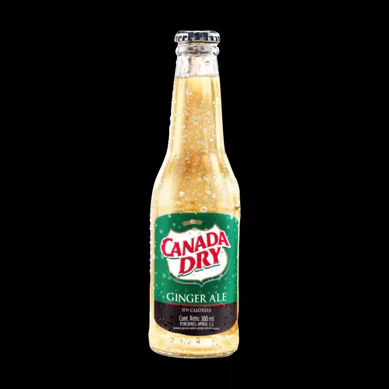 GINGER CANADA DRY