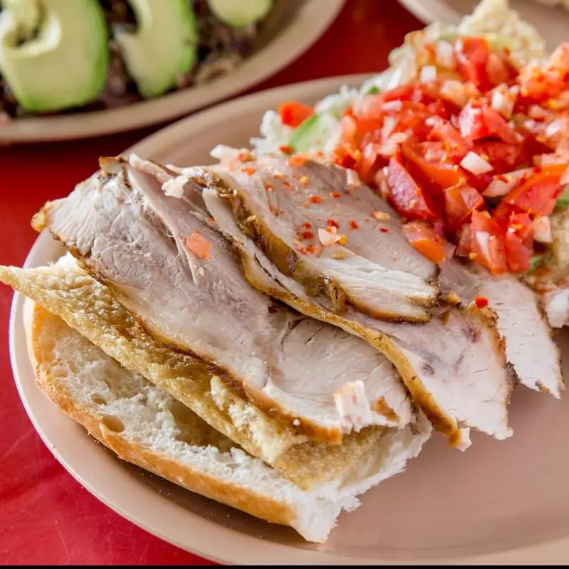 GUACAMAYA CON CARNITAS