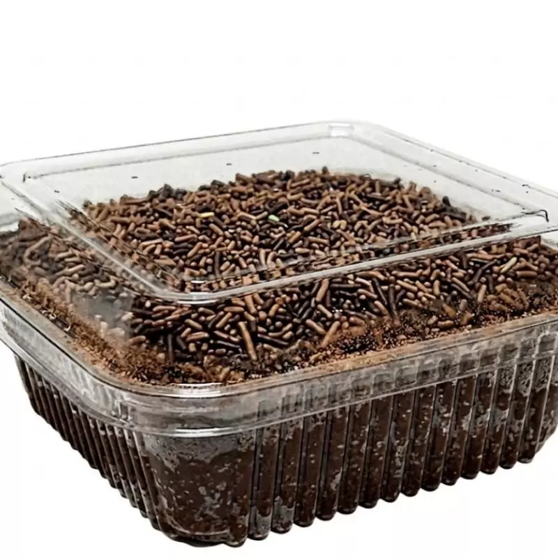 Bolo de Pote Chocolatudo