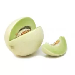 Melon Rocio de Miel