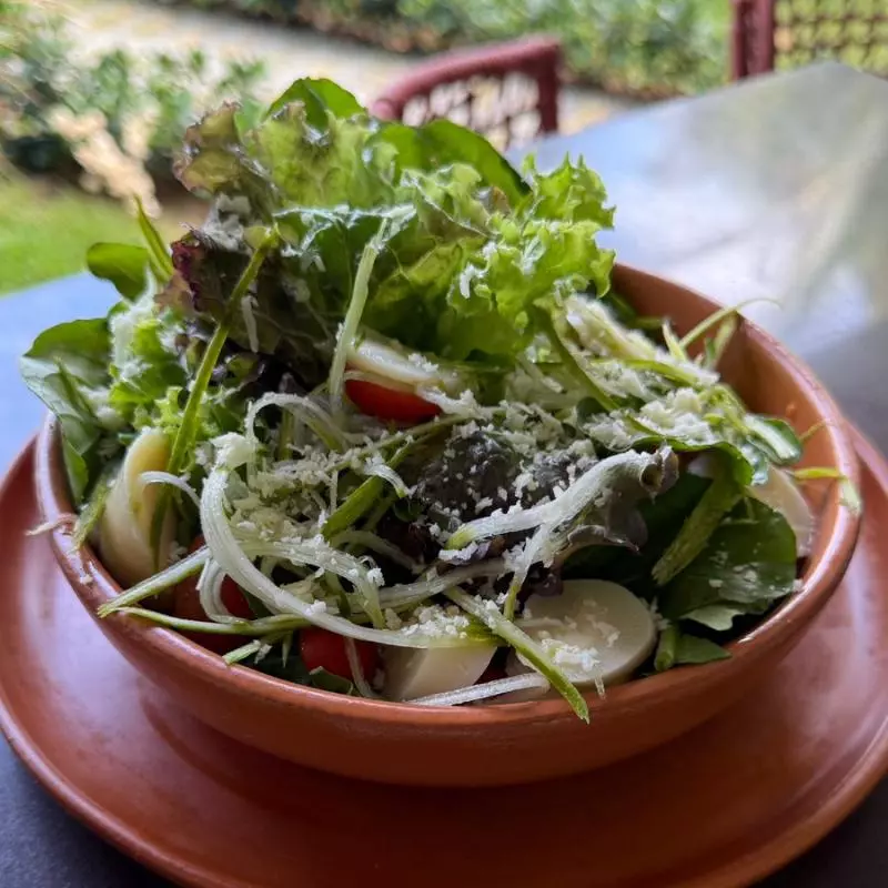Salada Verde