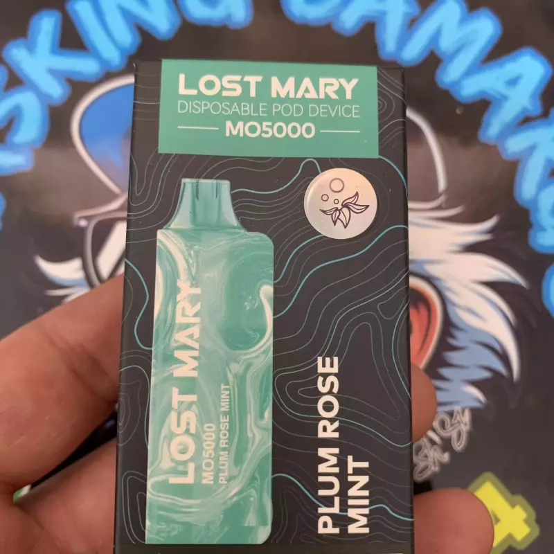 LostM- Plum Rose Mint 🧊