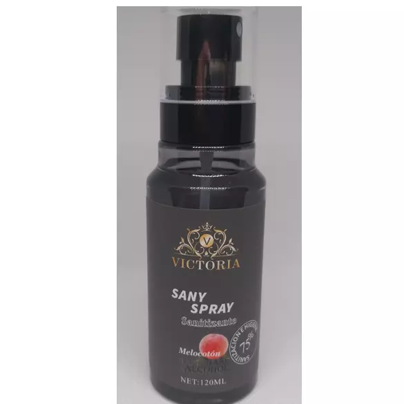 Sany spray 120ml