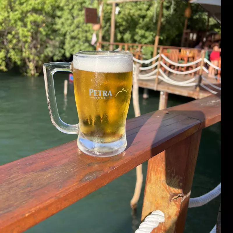 Chopp Petra Puro Malte 300ML