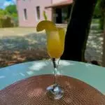 MIMOSA