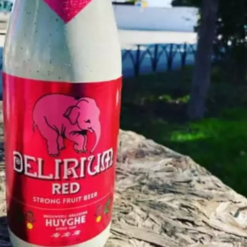 DELIRIUM 330cc RED 8.5° FRUIT BEER