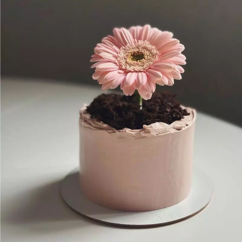 Mini bolo Bentô ( Flowers Gérbera)