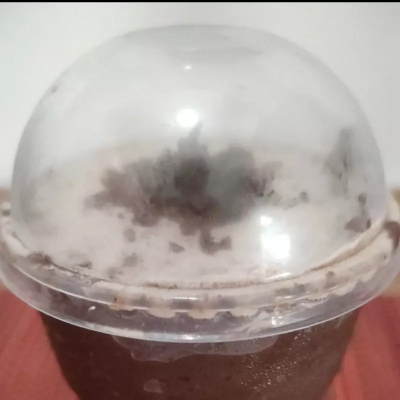 BOLO DE BOTE DE CHOCOLATE