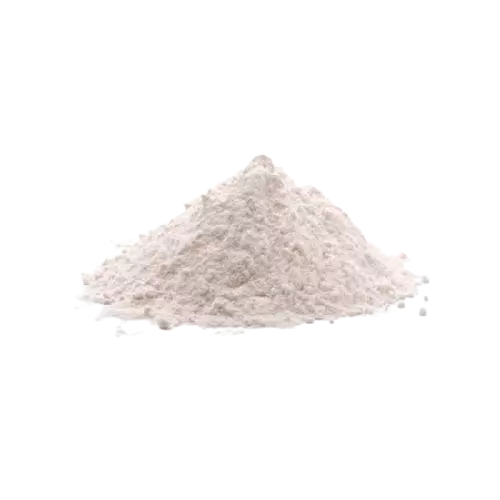 Leite de Coco em Pó - 100g