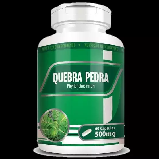Quebra Pedra