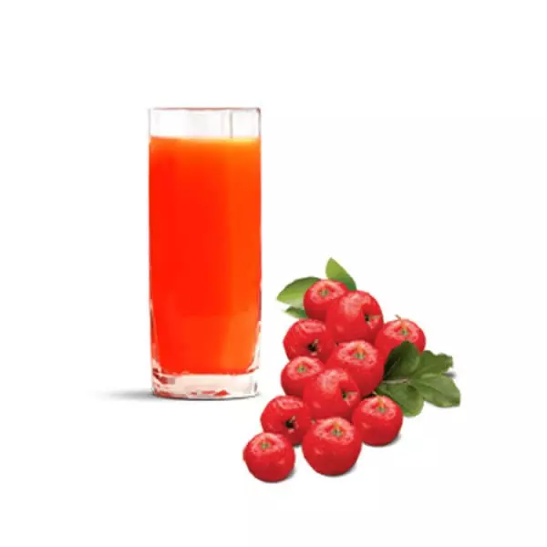 Suco Polpa Acerola 300ML