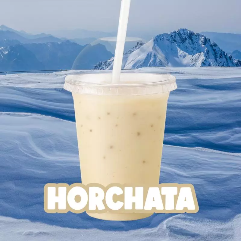 Agua Horchata 1L