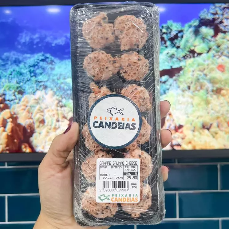 SALMÃO GRILL CHEESE 12 PEÇAS