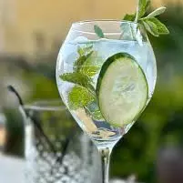 Gin Pepino 1L