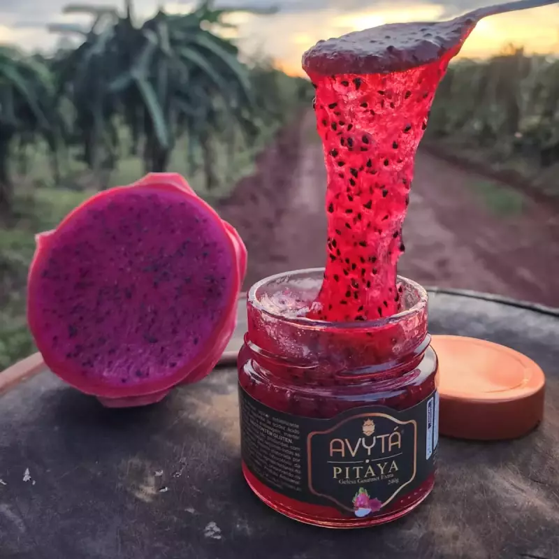 GELEIA DE PITAYA 240G