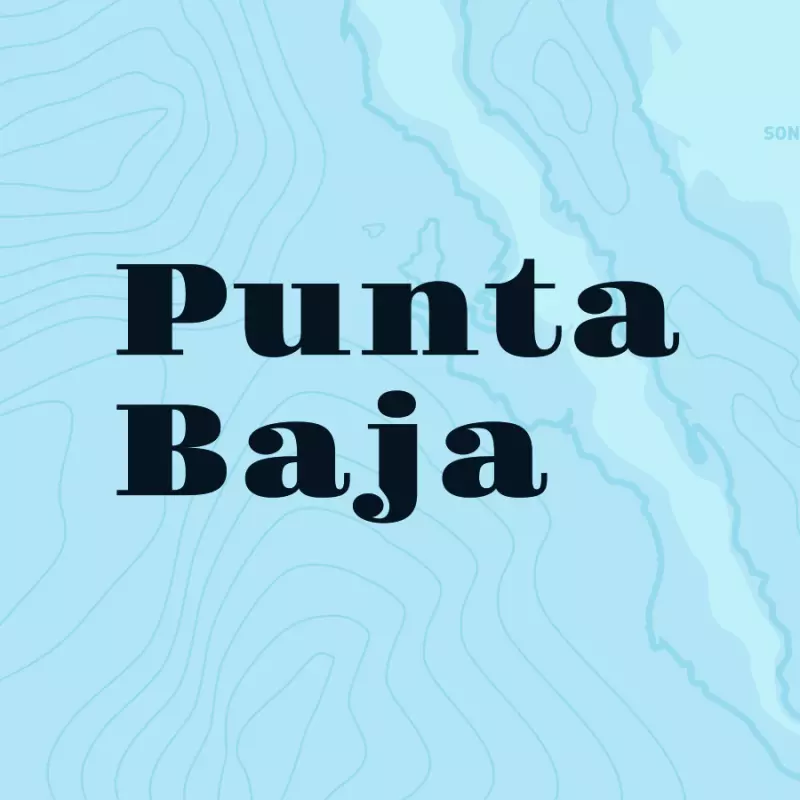 PUNTA BAJA Light Lager