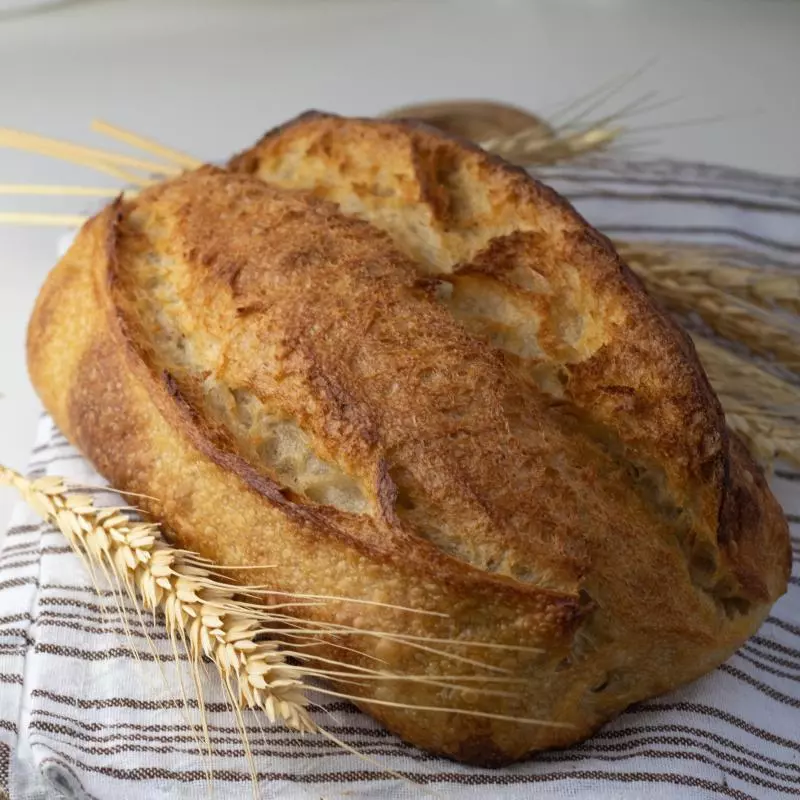 Os cascudinhos preferidos