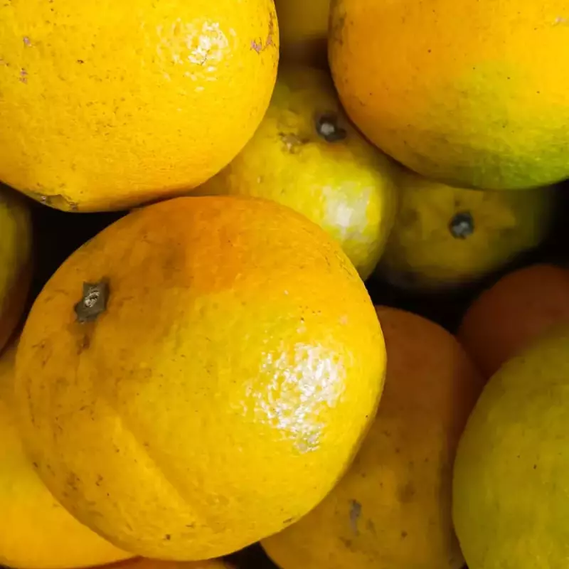 LARANJA PERA  ORG. 500gr