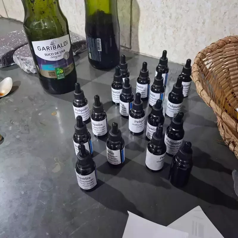 Própolis Abelha sem Ferrão (Ivonete)