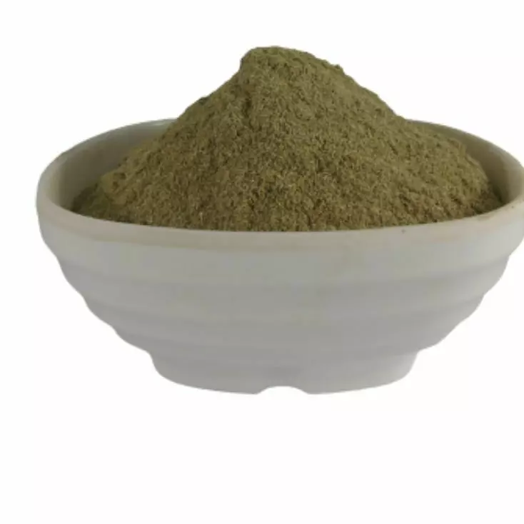 Ginko Biloba 100g