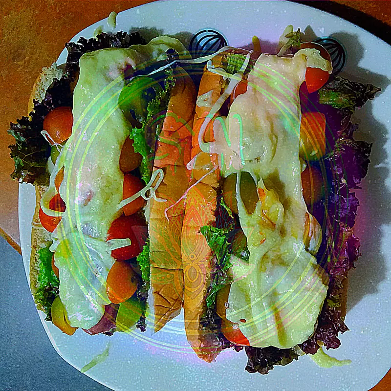 PERRO GOURMET 🌭