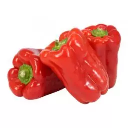 Morrón Rojo x 250g (123)