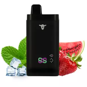 30kMenthol Strawberry watermelon 30k