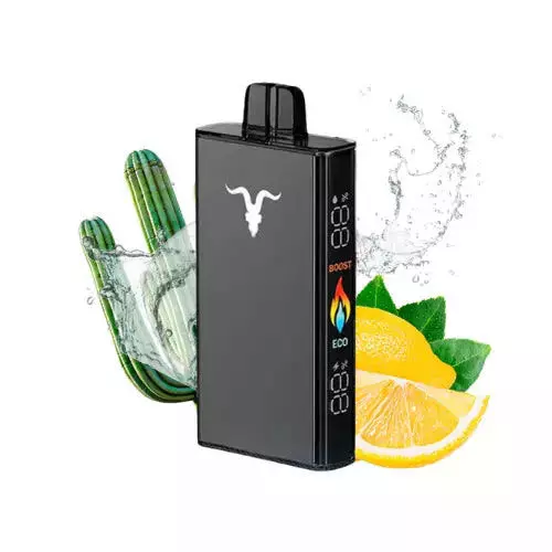 Cactus Lime Soda