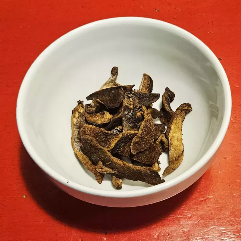 Hongos PORCINI dishidratados al GR.