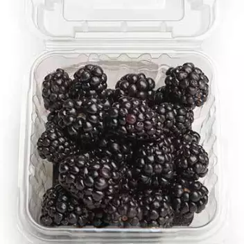 Bandeja de moras