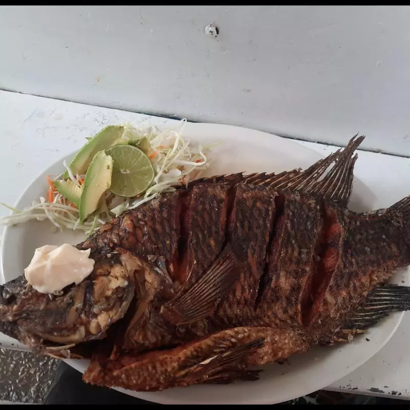 Mojarra frita x kilo