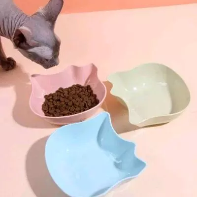 Platos para gatos