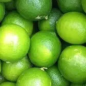 LIMON MENCINO 6 UDS