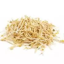 Germinado de SoyaC