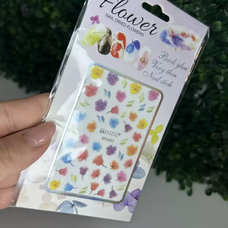 Cartela Decoração 3019