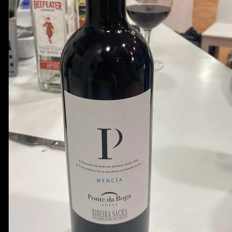 COPA Ponte da boga MENCIA