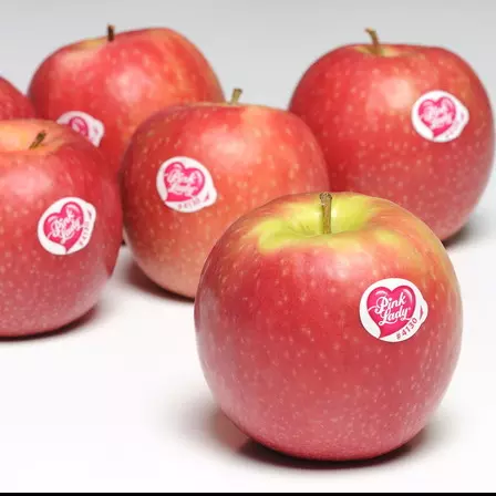 Manzana Pink Lady