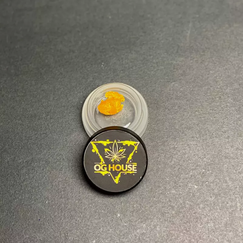 Watermelon INDICA💛