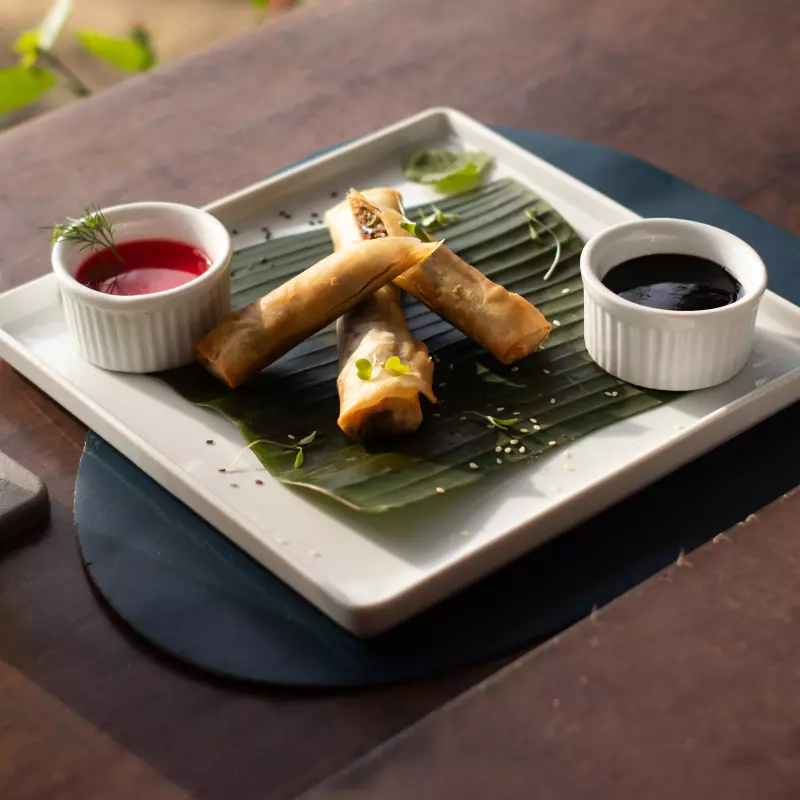 Harumaki legumes ou camarão catupiry