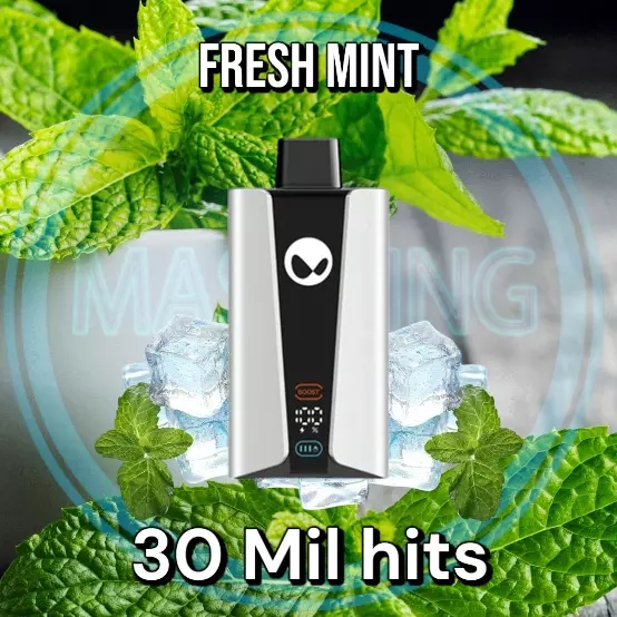 Fresh Mint