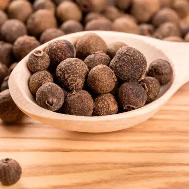 Pimenta Jamaica grão