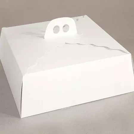 Caja transportadora 38x38x14cm