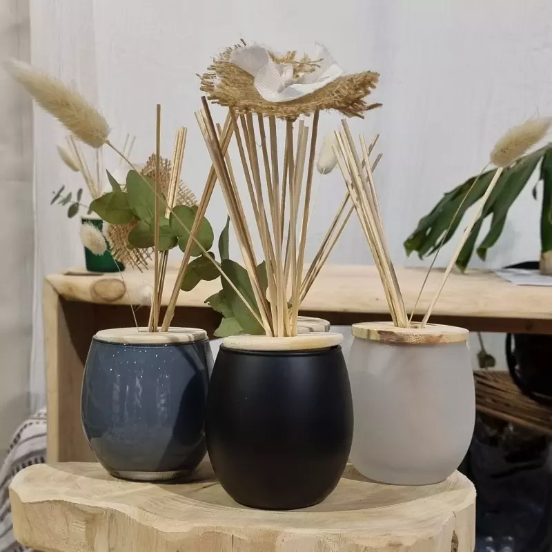 DIFUSOR MOON COLORS con esencia