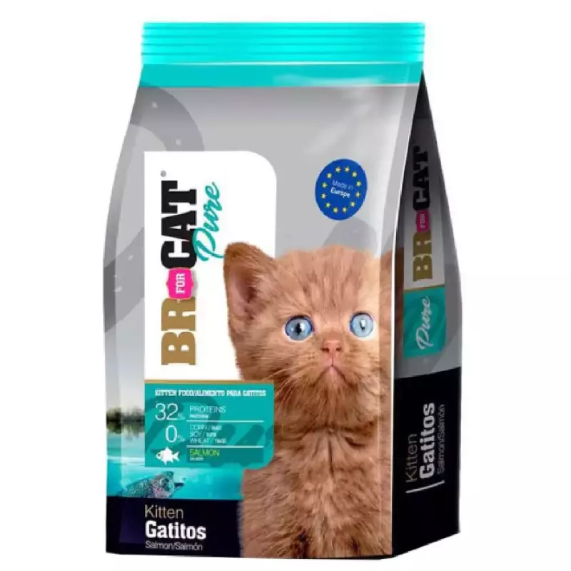 BR for CAT  gatitos Salmón 1K