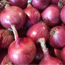 CEBOLLA MORADA MALLA 1 KG