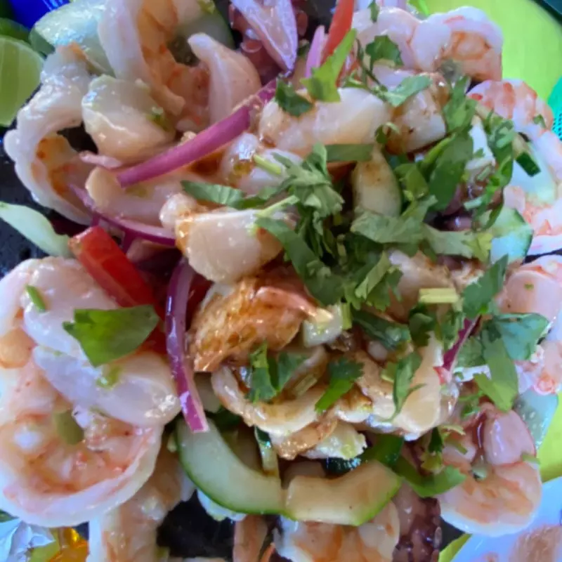 BOTANA ESTILO ROBERTS ESPESHAL