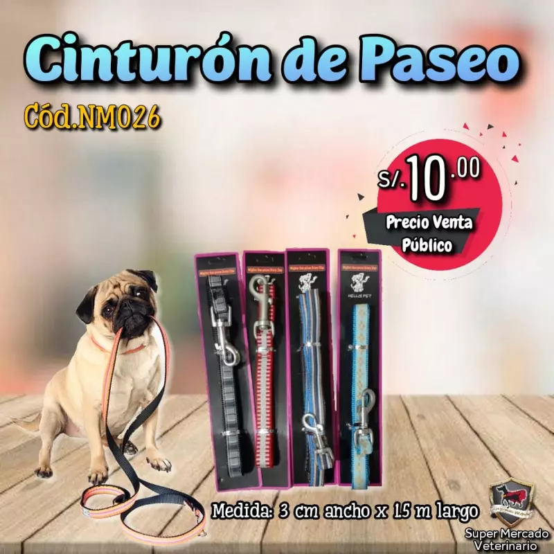 Cinturón de Paseo